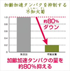 アンジオポエチン12が引き起こす肌の影響 シミ・シワのできる過程
